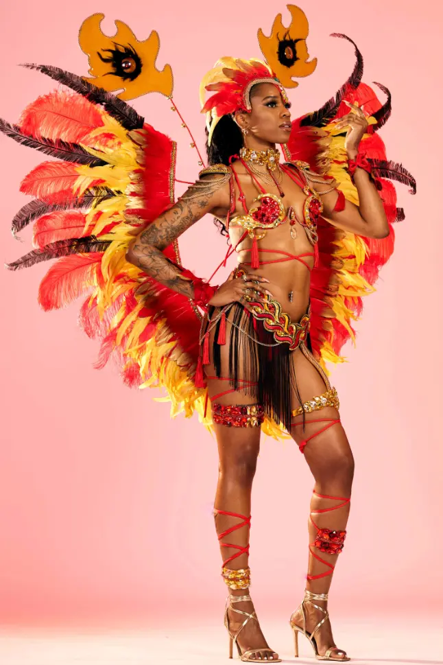 Toronto Carnival 2024 costume